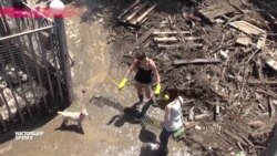 Ликвидация последствий наводнения в частном приюте для собак в Тбилиси Ликвидация последствий наводнения в частном приюте для собак в Тбилиси