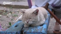 Дрова, "буржуйки" и пункты обогрева: Донецкая область готовится к зиме без отопления Дрова, "буржуйки" и пункты обогрева: Донецкая область готовится к зиме без отопления