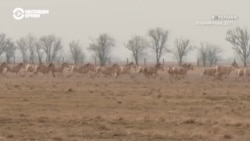 #ВУкраине: украденная родина #ВУкраине: украденная родина