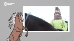 Время человека: алопетянка и ее конюшня Время человека: алопетянка и ее конюшня