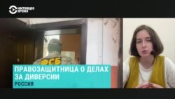 Правозащитница – о резком росте количества дел о подготовке диверсий и терактов в России
 Правозащитница – о резком росте количества дел о подготовке диверсий и терактов в России