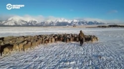 Человек на карте: Вася на краю света с баранами Человек на карте: Вася на краю света с баранами