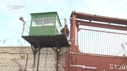 В Беларуси готовятся освободить более 1300 заключенных, в том числе осужденных за убийства и нанесение увечий  В Беларуси готовятся освободить более 1300 заключенных, в том числе осужденных за убийства и нанесение увечий