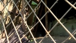 Украинские военные захватили российский "танк-черепаху" Украинские военные захватили российский "танк-черепаху"