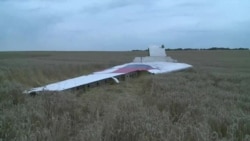 10 лет трагедии MH17. Родственники жертв крушения – о приговоре стрелявшим: "Они никогда не отсидят свой срок" 10 лет трагедии MH17. Родственники жертв крушения – о приговоре стрелявшим: "Они никогда не отсидят свой срок"