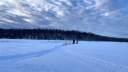 Однажды в Америке: Аляска Однажды в Америке: Аляска