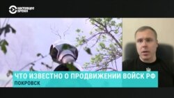 "Второй раз такую кровавую мясорубку уже развить не смогут". Почему Россия не перебрасывает военных с Донбасса в Курскую область
 "Второй раз такую кровавую мясорубку уже развить не смогут". Почему Россия не перебрасывает военных с Донбасса в Курскую область