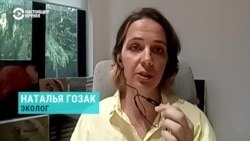 Эколог – о долгосрочных последствиях разрушения Каховской ГЭС для природы и людей
 Эколог – о долгосрочных последствиях разрушения Каховской ГЭС для природы и людей