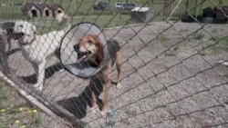 Грузинские НКО рассказывают, как по ним ударит новый закон об "иноагентах" и почему они, возможно, закроются Грузинские НКО рассказывают, как по ним ударит новый закон об "иноагентах" и почему они, возможно, закроются