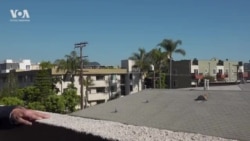 Ветераны Второй мировой из бывшего СССР, которые уехали в эмиграцию и живут в США, рассказывают о войне, боях и ранениях Ветераны Второй мировой из бывшего СССР, которые уехали в эмиграцию и живут в США, рассказывают о войне, боях и ранениях