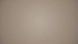 История Светланы и Валерии Зотовых из Ярославля, которых обвиняют в терроризме и призывах к нему История Светланы и Валерии Зотовых из Ярославля, которых обвиняют в терроризме и призывах к нему