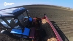 Человек на карте: повысить выручку за счет батата, имбиря и тмина Человек на карте: повысить выручку за счет батата, имбиря и тмина