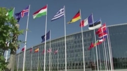 Почему страны НАТО заговорили о ядерном оружии Почему страны НАТО заговорили о ядерном оружии