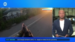 ВСУ продвигаются в Курской области: что известно ВСУ продвигаются в Курской области: что известно