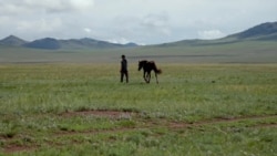 Сибириада: Тыва – беднейший регион РФ без железных дорог
 Сибириада: Тыва – беднейший регион РФ без железных дорог