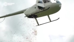 В развлекательном шоу на российском телевидении снялись "военкор" и снайперша из "ДНР" В развлекательном шоу на российском телевидении снялись "военкор" и снайперша из "ДНР"