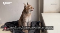 #ВУкраине: несокрушимый Николаевский зоопарк #ВУкраине: несокрушимый Николаевский зоопарк