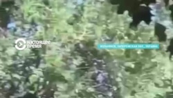 Из-за атаки российских военных на Вольнянск Запорожской области погибли семь человек, еще 38 пострадали Из-за атаки российских военных на Вольнянск Запорожской области погибли семь человек, еще 38 пострадали