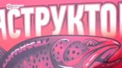 Человек на карте: как зарабатывают студенты в России