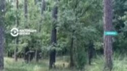 Украинские военные начали использовать на фронте роботов-собак: как они работают? Украинские военные начали использовать на фронте роботов-собак: как они работают?