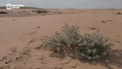 Неизвестная Россия: русская пустыня Неизвестная Россия: русская пустыня