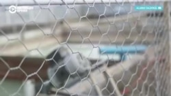 Казахстану нужен миллиард долларов на ремонт очистных сооружений и канализации Казахстану нужен миллиард долларов на ремонт очистных сооружений и канализации