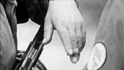 Кролик по-берлински: железный занавес глазами животного Кролик по-берлински: железный занавес глазами животного