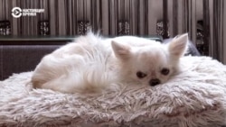 Дрова, буржуйки, самодельное утепление: украинцы готовятся к зиме в разрушенных квартирах с перебоями в отоплении Дрова, буржуйки, самодельное утепление: украинцы готовятся к зиме в разрушенных квартирах с перебоями в отоплении