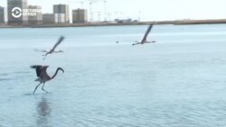 В Нур-Султане группа юристов подала в суд из-за застройки Малого Талдыколя  В Нур-Султане группа юристов подала в суд из-за застройки Малого Талдыколя