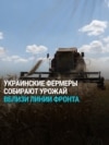 "Может это последний год, когда мы собираем урожай": украинские фермеры работают, несмотря на наступление России