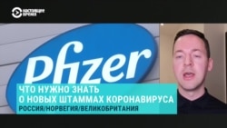 "Вакцинный иммунитет вроде бы защищает от новых вариантов вируса" "Вакцинный иммунитет вроде бы защищает от новых вариантов вируса"