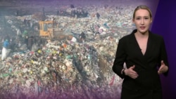 Мусорный полигон размером с Ватикан и тысячи уничтоженных деревьев – экоцид в Кыргызстане Мусорный полигон размером с Ватикан и тысячи уничтоженных деревьев – экоцид в Кыргызстане