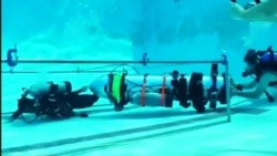 Маск попросил не судить его за клевету в твиттере Маск попросил не судить его за клевету в твиттере