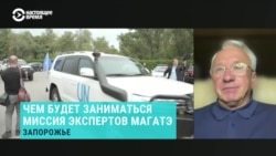 Замглавы комитета Верховной Рады Украины по вопросам энергетики Алексей Кучеренко о визите МАГАТЭ на оккупированную Запорожскую АЭС Замглавы комитета Верховной Рады Украины по вопросам энергетики Алексей Кучеренко о визите МАГАТЭ на оккупированную Запорожскую АЭС