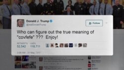 Твит полный загадок. Как мир полдня разбирался что же такое covfefe Твит полный загадок. Как мир полдня разбирался что же такое covfefe