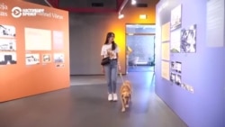 Музеи Эстонии приглашают к себе посетителей с собаками: как это происходит Музеи Эстонии приглашают к себе посетителей с собаками: как это происходит