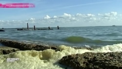 Калининград: куда уходят "очистные деньги" Калининград: куда уходят "очистные деньги"