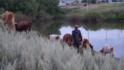 Человек на карте: многодетный почтальон
 Человек на карте: многодетный почтальон