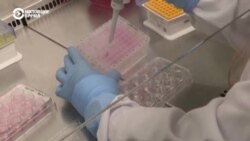 Новая волна коронавируса распространяется по миру Новая волна коронавируса распространяется по миру