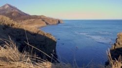 Перекресток: Сахалин. Браконьеры поневоле  Перекресток: Сахалин. Браконьеры поневоле