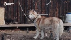 Неизвестная Россия: анонимная деревня онлайн Неизвестная Россия: анонимная деревня онлайн