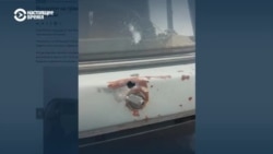 На кыргызстанско-таджикистанской границе снова неспокойно На кыргызстанско-таджикистанской границе снова неспокойно