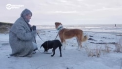 Балтия: как замминистра правительства Москвы уехала в Латвию Балтия: как замминистра правительства Москвы уехала в Латвию