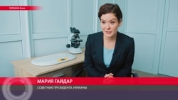 "Я могла стать успешным коррупционером, если бы захотела". Интервью Марии Гайдар Настоящему Времени "Я могла стать успешным коррупционером, если бы захотела". Интервью Марии Гайдар Настоящему Времени