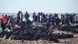 "Просто задохнулись". Более 30 дельфинов погибли из-за разлива мазута из российских танкеров в Керченском проливе "Просто задохнулись". Более 30 дельфинов погибли из-за разлива мазута из российских танкеров в Керченском проливе