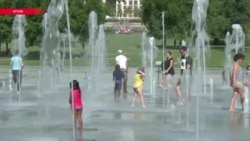 Координатор "Лиза Алерт" – о поиске пропавших детей Координатор "Лиза Алерт" – о поиске пропавших детей