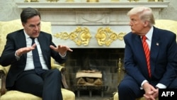 Встреча Дональда Трампа и генсека НАТО Марка Рютте в Белом доме, 14 июля 2025 года