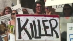 Судить дантиста Палмера должен Зимбабве Судить дантиста Палмера должен Зимбабве