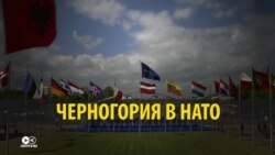 Черногория в НАТО: ссора "братушек" в российских и балканских медиа Черногория в НАТО: ссора "братушек" в российских и балканских медиа