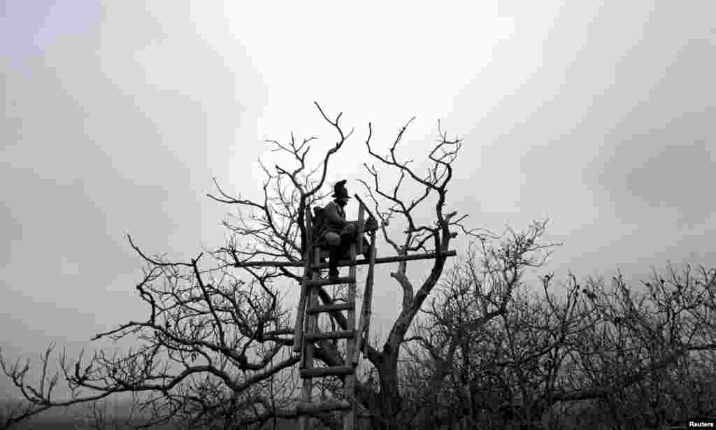 В историю оно также вошло как "Битва трех императоров"